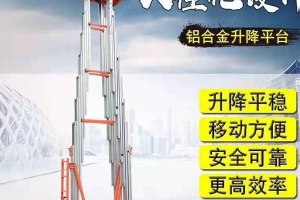 江蘇雙桅鋁合金升降機   生產(chǎn)廠家